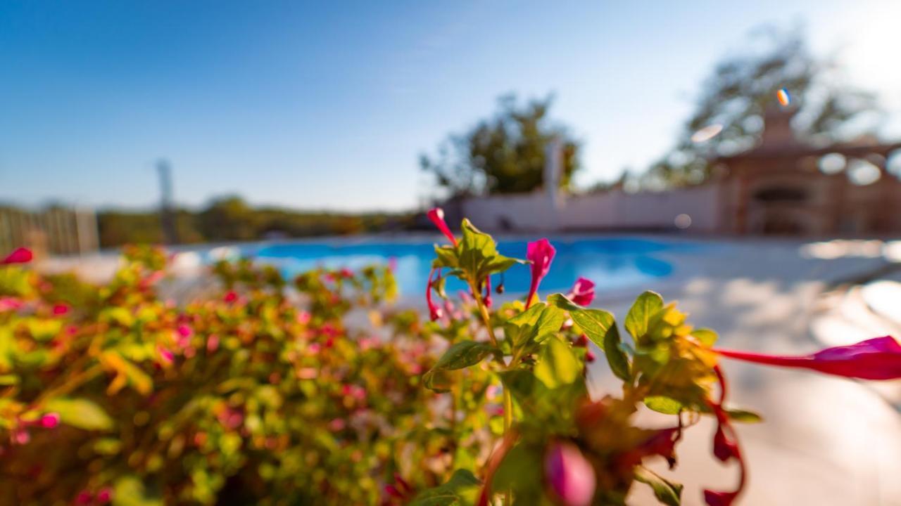 Villa Arton Heated Swimming-Pool Žminj Extérieur photo